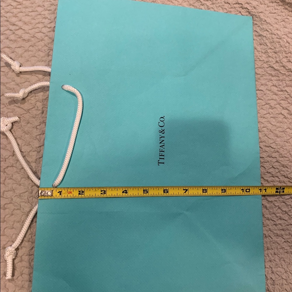 TIFFANY & CO LARGE SHOPPING BAG - Picture 3 of 4
